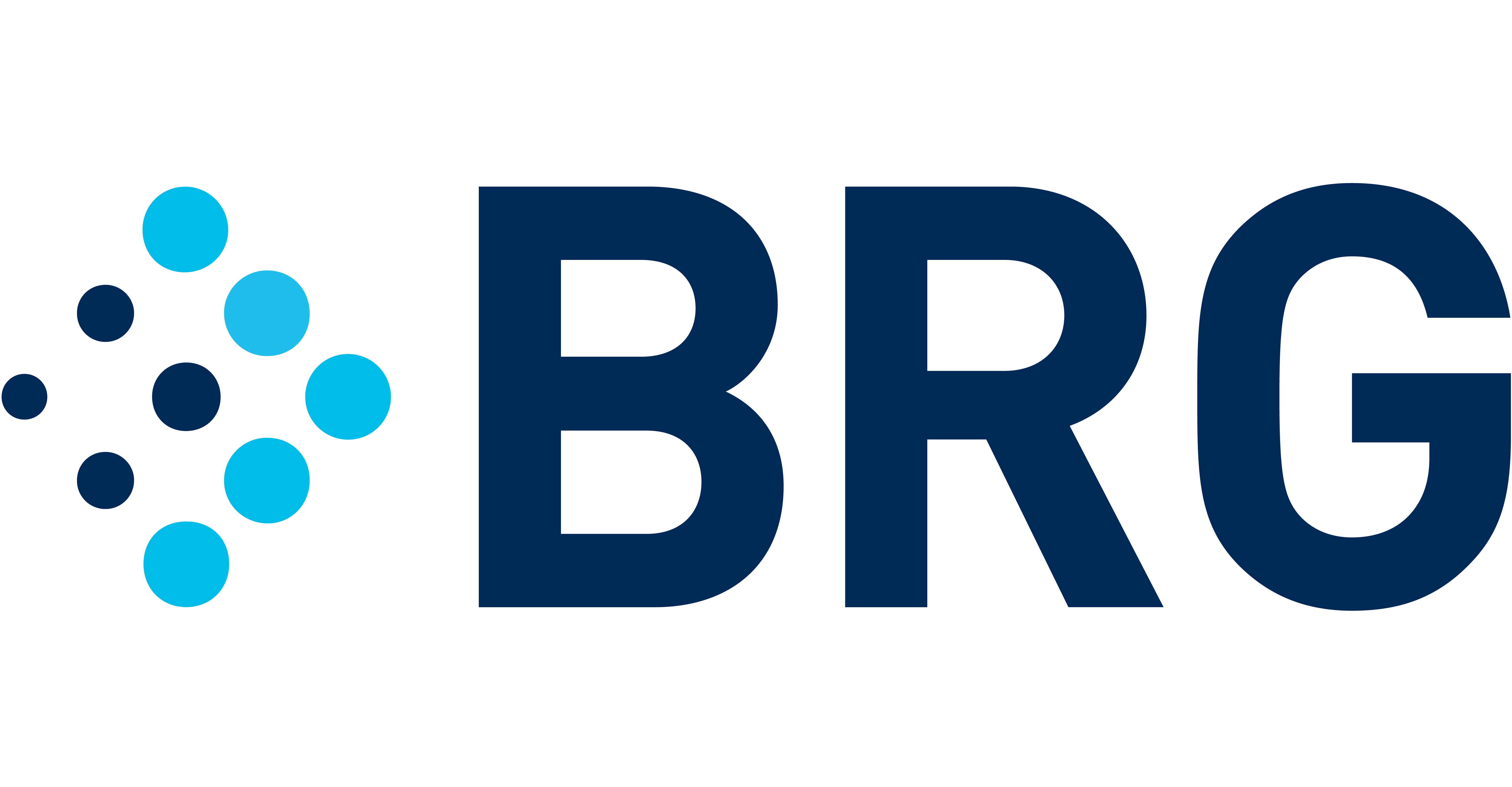 Berkeley Research Group